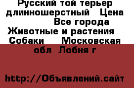 Русский той-терьер длинношерстный › Цена ­ 7 000 - Все города Животные и растения » Собаки   . Московская обл.,Лобня г.